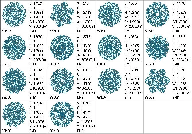 Intricately Beautiful Mandala Combo