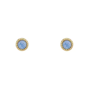 Laura Ashley Stippled Blue Crystal Gold Tone Stud Earrings E6517