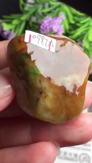 Natural Jade Rough Jadeite Raw (28g,3.2x3.1x1.5cm)-V2860