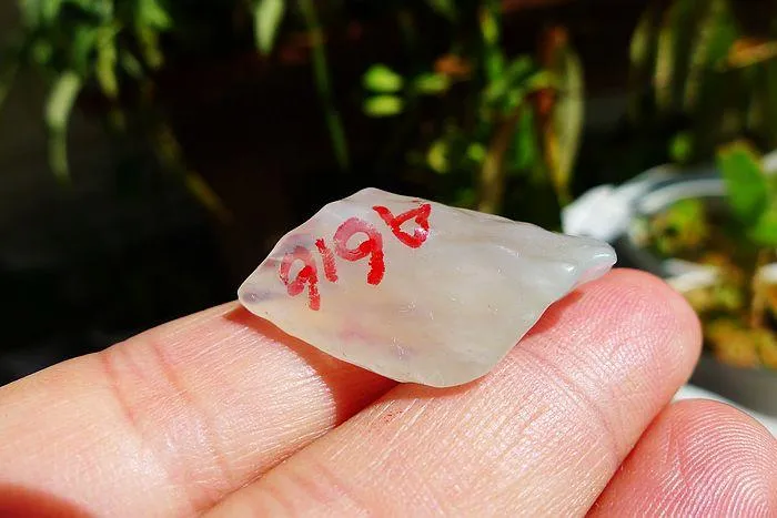 Natural Jade Rough Jadeite Raw (6.5g,3X1.8X0.9cm)