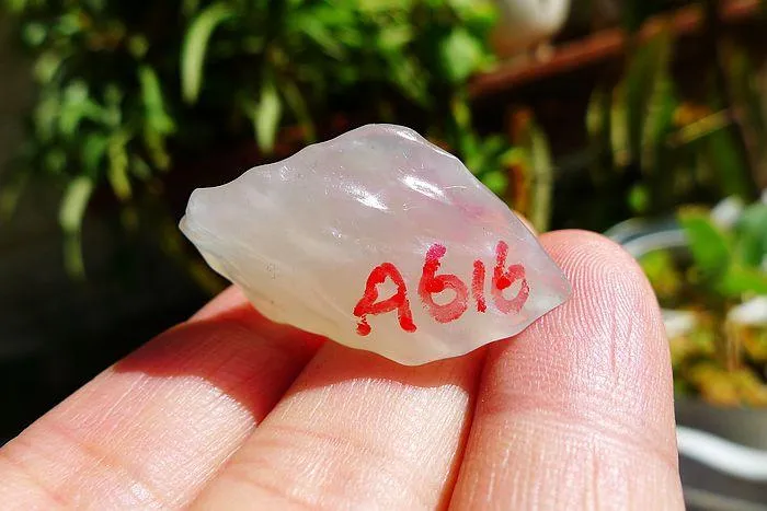 Natural Jade Rough Jadeite Raw (6.5g,3X1.8X0.9cm)