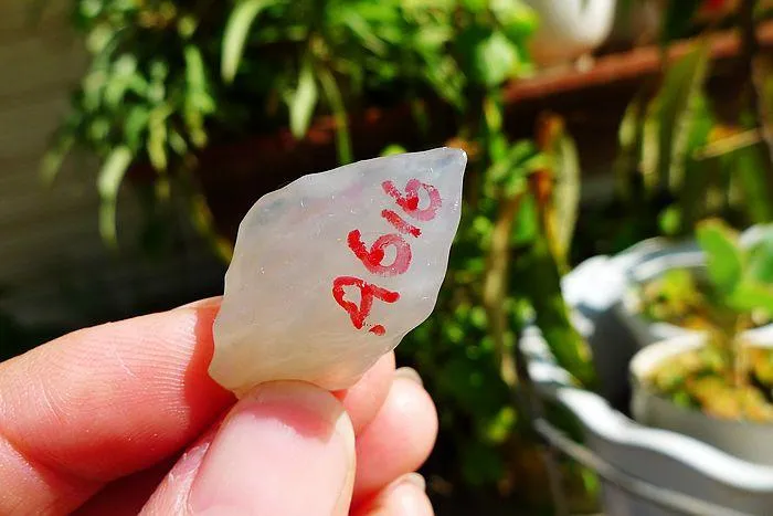 Natural Jade Rough Jadeite Raw (6.5g,3X1.8X0.9cm)