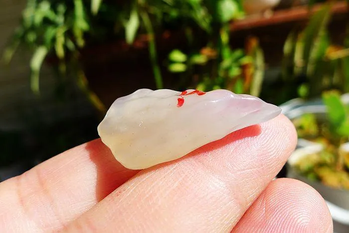 Natural Jade Rough Jadeite Raw (6.5g,3X1.8X0.9cm)