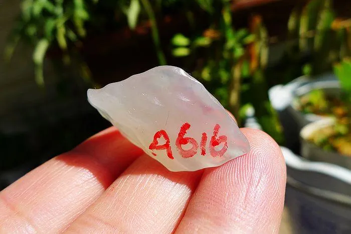 Natural Jade Rough Jadeite Raw (6.5g,3X1.8X0.9cm)