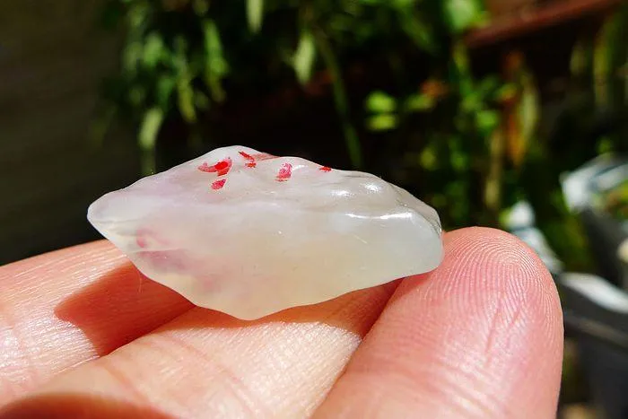 Natural Jade Rough Jadeite Raw (6.5g,3X1.8X0.9cm)