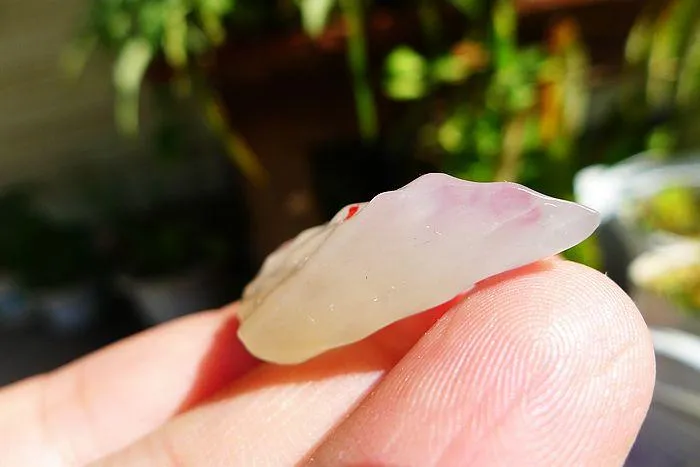 Natural Jade Rough Jadeite Raw (6.5g,3X1.8X0.9cm)