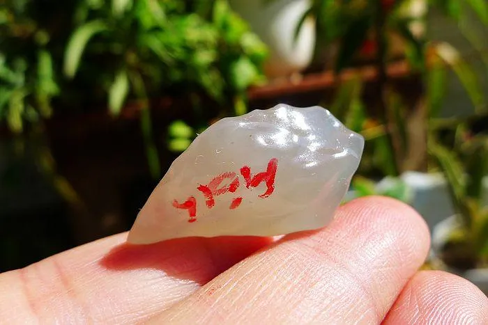 Natural Jade Rough Jadeite Raw (6.5g,3X1.8X0.9cm)