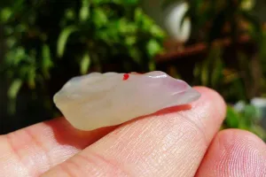 Natural Jade Rough Jadeite Raw (6.5g,3X1.8X0.9cm)