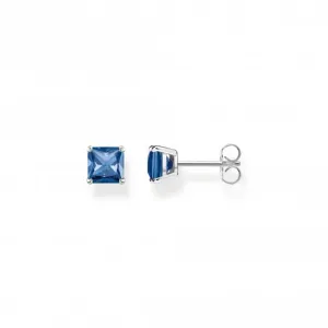 Sterling Silver Blue Stone Earrings H2174-699-32